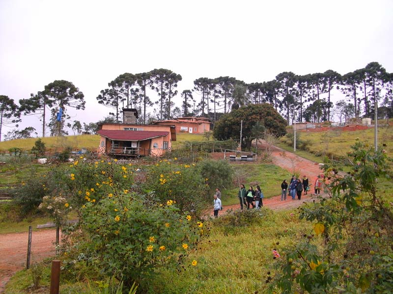 Journeys into the New World of Ecovillages